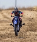 Preview: LOS06000T2 1/4 Promoto-MX Moto RTR, FXR