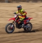 Preview: LOS06000T1 1/4 Promoto-MX Moto RTR, FXR