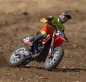 Preview: LOS06000T1 1/4 Promoto-MX Moto RTR, FXR