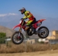 Preview: LOS06000T1 1/4 Promoto-MX Moto RTR, FXR