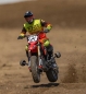 Preview: LOS06000T1 1/4 Promoto-MX Moto RTR, FXR