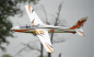 Preview: DPFMS107P FMS FOX Elektrosegler PNP - 300 cm