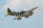 Preview: PH217 Phoenix P47 Thunderbolt GP/EP 35-55CC ARF Carbon - 201 cm