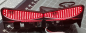 Preview: 28023 Devil's Eyes Panel für AM22770 Scania Grün