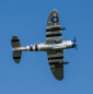 Preview: EFL08450 P-47 Razorback 1,2m AS3X/SAFE BNF basic