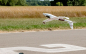 Preview: ALPHA V2 1,5m E-Segler ARF Rot