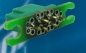 Preview: 9002 MPX6pol Steckerplatine SM/einfach