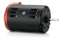 Preview: HW30404310 BL-Motor/Car QuicRun-3650G2 13.5 sens