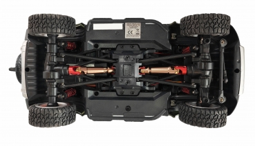 22664 D110X24 METALL SCALE CRAWLER 4WD 1:24 RTR