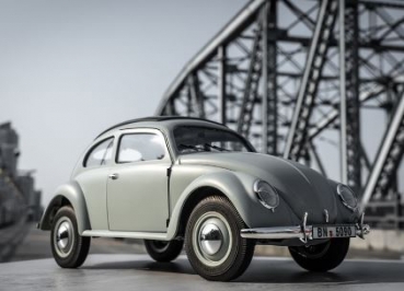 DPROC11242RTRCE Rochobby Beetle