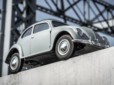 DPROC11242RTRCE Rochobby Beetle