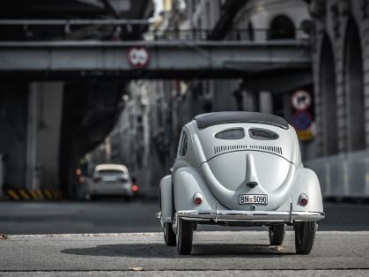 DPROC11242RTRCE Rochobby Beetle
