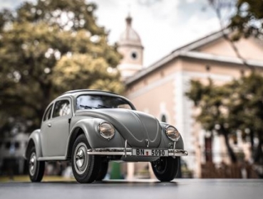 DPROC11242RTRCE Rochobby Beetle