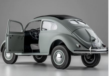 DPROC11242RTRCE Rochobby Beetle
