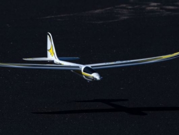 EFL01650 CONSCENDO Evolution 1,5m BNF basics