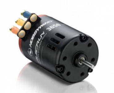 HW30404309 BL-Motor/Car QuicRun-3650G2 10.5TBL-Motor/Car QuicRun-3650G2 10.5T