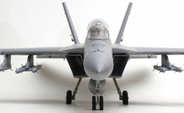 DPFMS100P FMS F-18F EDF 70 PNP grau - 87cm