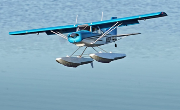 DPFMS114RF FMS Maule RTF - 150 cm - inkl.Schwimmer
