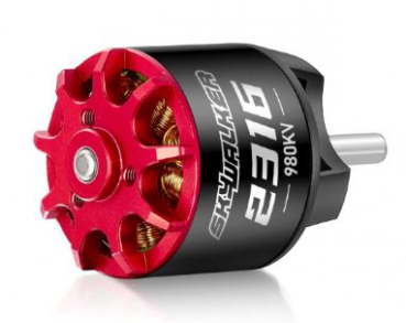 BL-Motor Skywalker 2316(2832)-980kv 3-4S