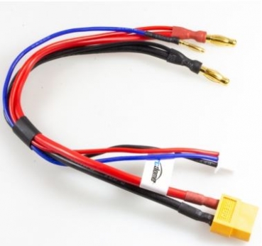 RCD040 Hardcase Anschlußkabel GK4/2 ->XT60/XH