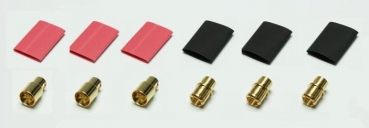 ex6704 Goldk.-St./B.6mm +SS 3Paar