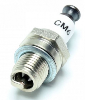 C5210 Zündkerze CM6 (M10x1)