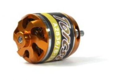 tc191831 BL-Motor Torcster Gold A2836/8-1260