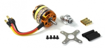tc191831 BL-Motor Torcster Gold A2836/8-1260