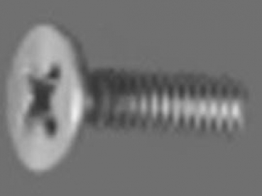 10121 M2x10 Senkschrauben mit Kreuzschlitz 10 Stück