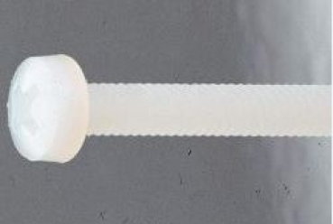 10768 M4x40 Linsenkopfschrauben mit Kreuzschlitz Nylon 10 Stück