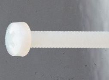 10769 M5x30 Linsenschrauben Nylon mit Kreuzschlitz 10 Stück