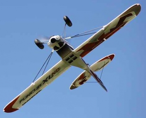 1-02052 FUN-CUB-XL
