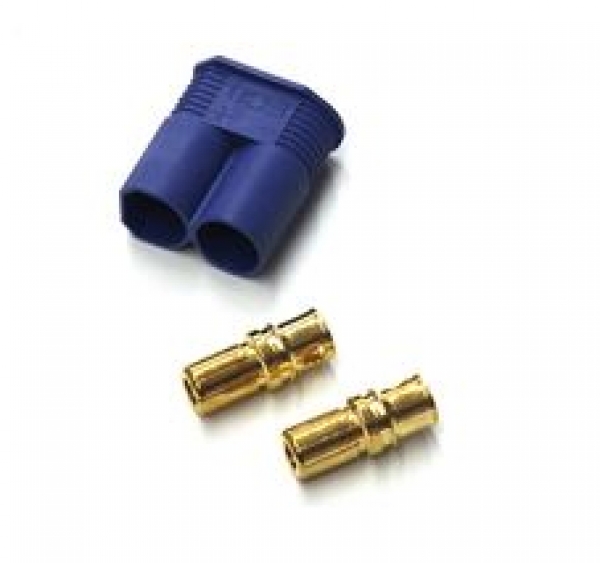 213648 EC-8! Stecker 1 Stück