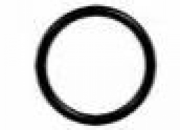 224386 O-Ring 20mm Shockies 5 Stück