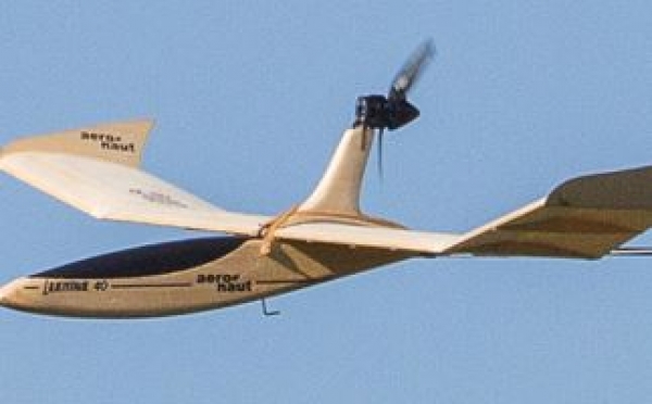 712601 BL-Set/Motoraufsatz Lilienthal-40 ae
