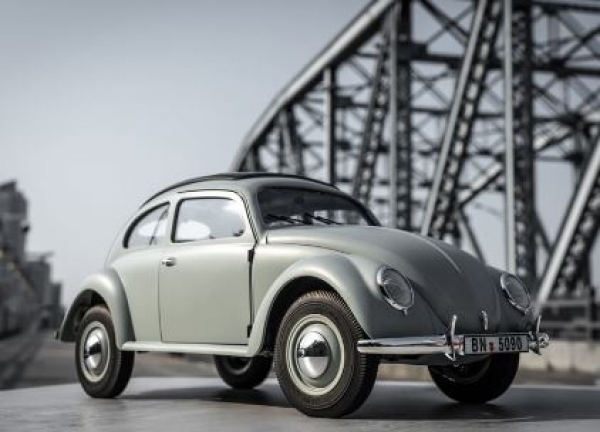 DPROC11242RTRCE Rochobby Beetle