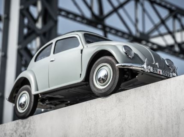 DPROC11242RTRCE Rochobby Beetle