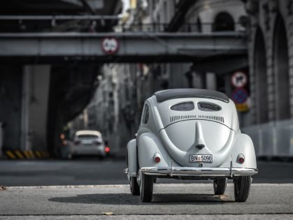 DPROC11242RTRCE Rochobby Beetle