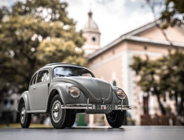 DPROC11242RTRCE Rochobby Beetle