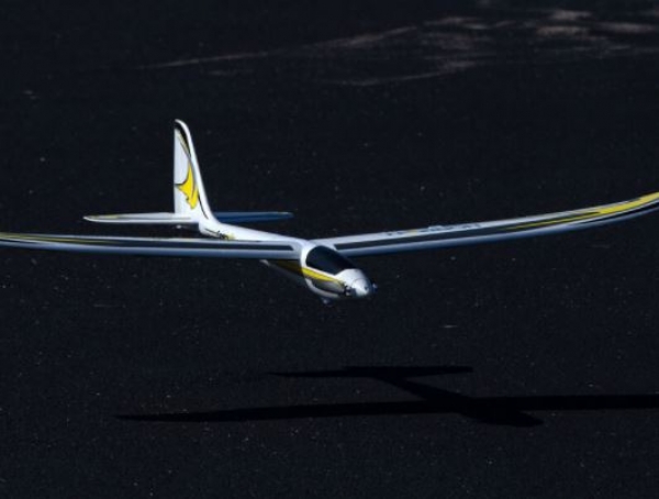 EFL01650 CONSCENDO Evolution 1,5m BNF basics