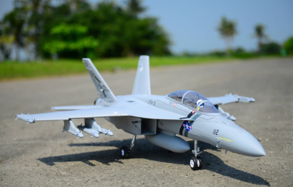 DPFMS100P FMS F-18F EDF 70 PNP grau - 87cm