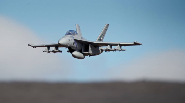DPFMS100P FMS F-18F EDF 70 PNP grau - 87cm