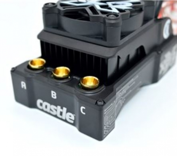 010-0167-00 BL-Regler CASTLE-Mamba XLX2 8S