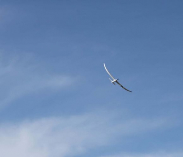 EFL36500 NIGHT-RADIANv2 2m BNF Basic smartSAFE