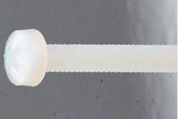 10766 M3x30 Linsenkopfschrauben mit Kreuzschlitz Nylon 10 Stück