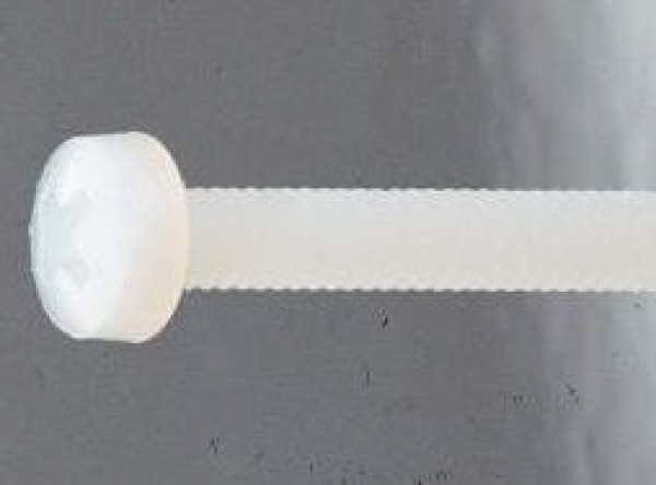 10769 M5x30 Linsenschrauben Nylon mit Kreuzschlitz 10 Stück