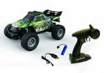 3131 Mountain-Race Champion Truck 1:18