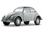 DPROC11242RTRCE Rochobby Beetle