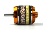 tc191831 BL-Motor Torcster Gold A2836/8-1260